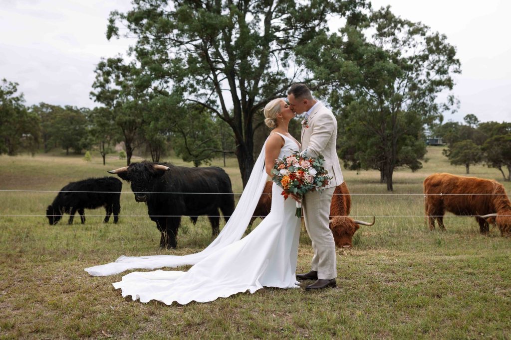 mr and mrs kissing at Adams peak surrounded by highland cows